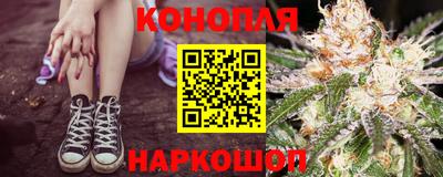 мдпв Гусев