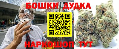 мдпв Гусев
