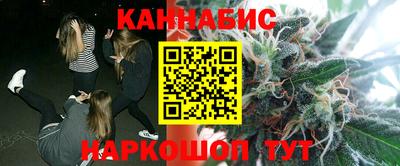 мдпв Гусев